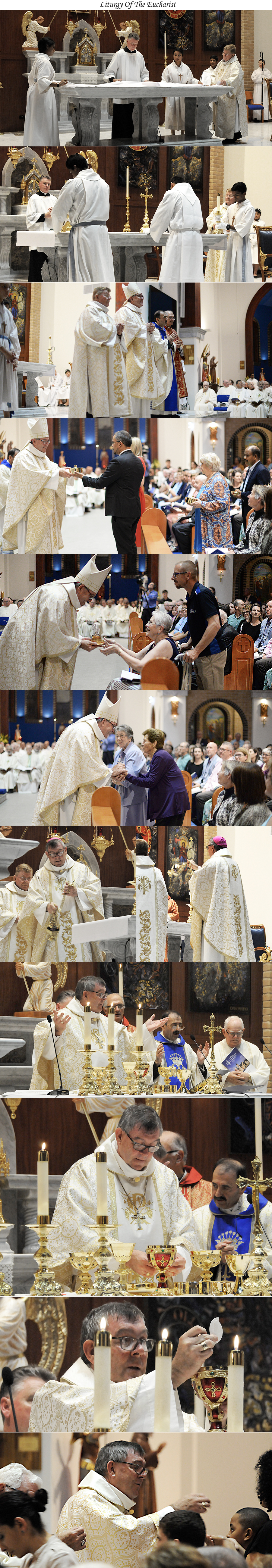 Mass - Solemn Dedication of OLHC Church - 8 March 2019